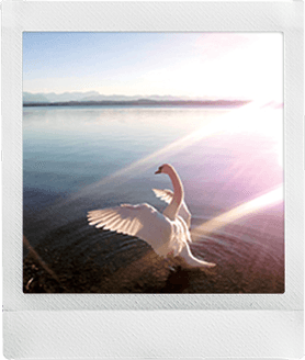 SQUARE Film